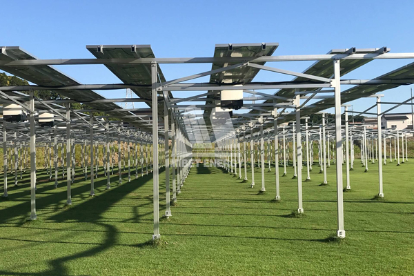 農(nóng)業(yè)大棚光伏電站有什么優(yōu)勢？支架系統(tǒng)如何選購？