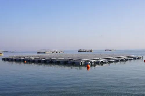 破局！海上光伏“探路者”